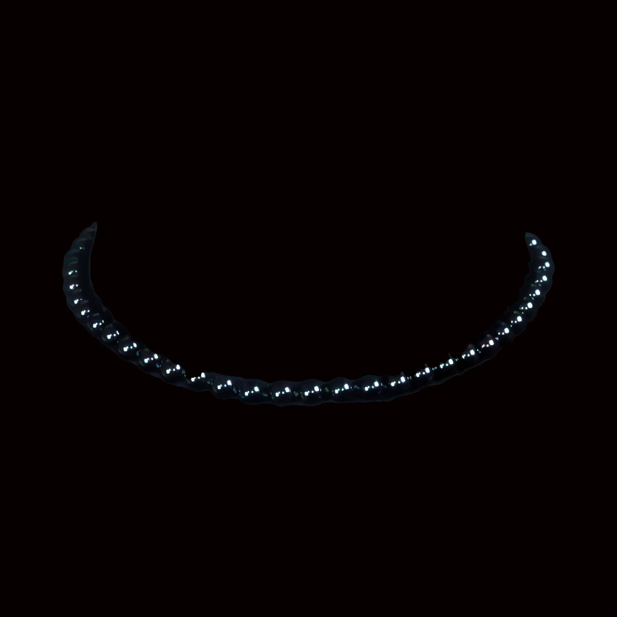 Curved string of bright lights against a dark background.