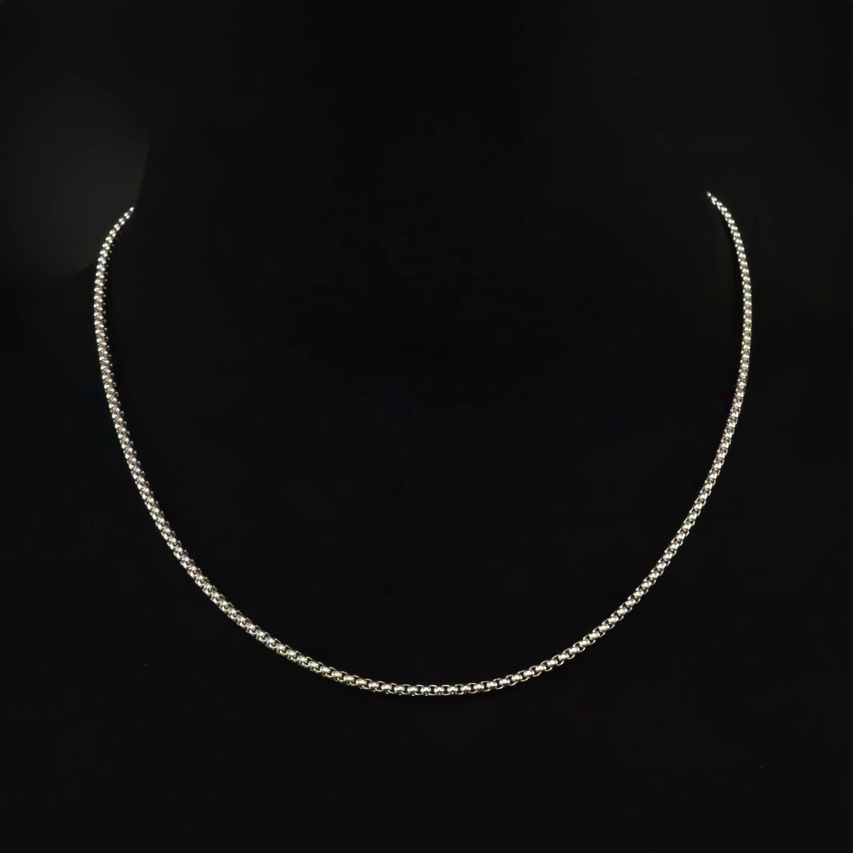 Delicate silver chain necklace against a black background.