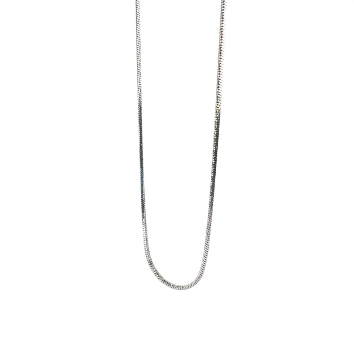 Silver snake chain necklace.