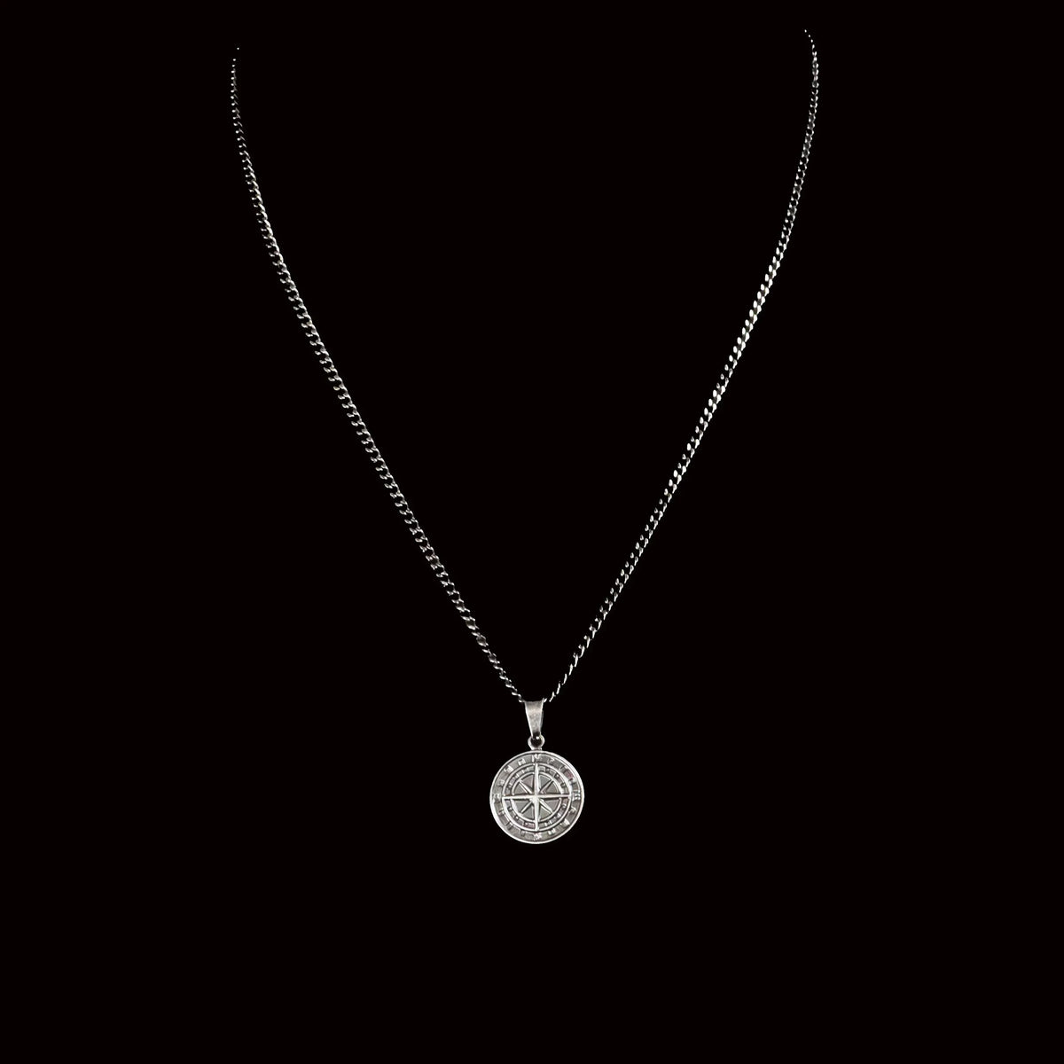 Silver medallion pendant on a chain necklace.