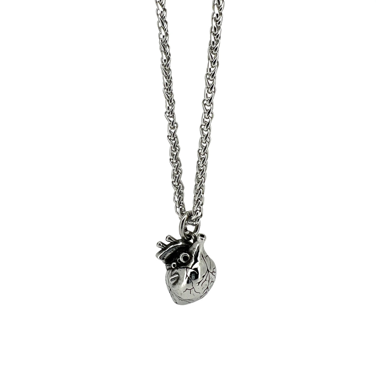 Anatomically detailed silver heart pendant on a chain necklace.